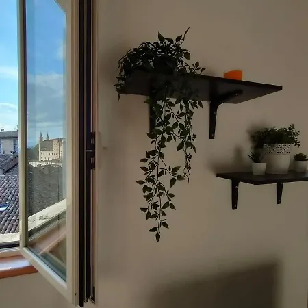 Il Cielo Di Raffaello * Urbino